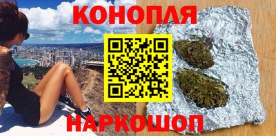 шишки Тара